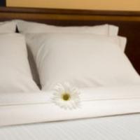 Express & Airport By Ihg